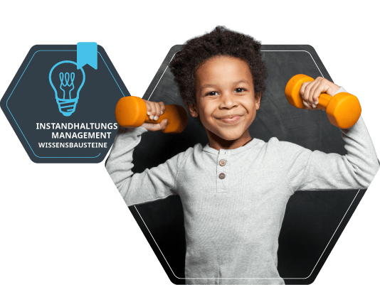 Wissensbaustein Instandhaltung, dankl+partner consulting